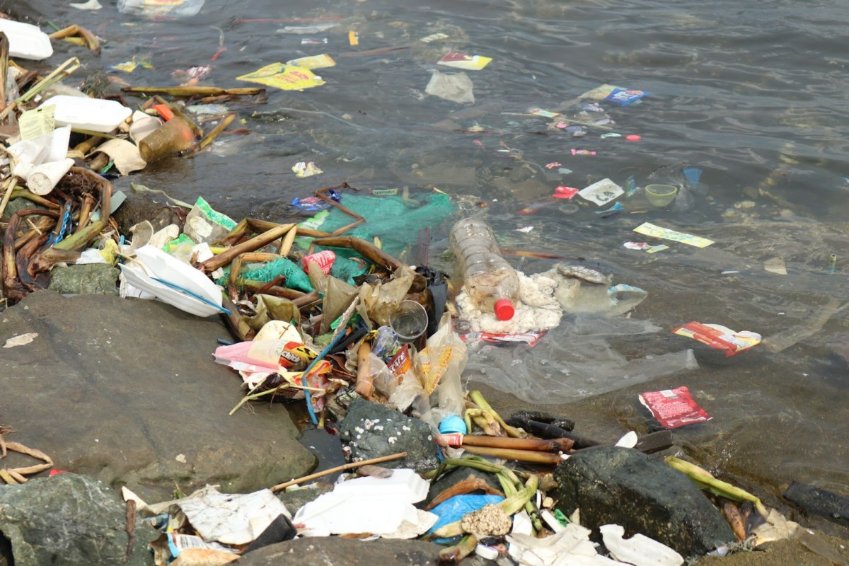 <h1> Plastic pollution reaching Philippine waters equivalent to 14 Titanics. WWF’s three-year project with Grieg foundation, a Norwegian foundation, aims to reduce the waste by 50%</h1>
<p style="text-align: right;"><a href="https://support.wwf.org.ph/resource-center/story-archives-2022/plastic-pollution-reaching-philippine-waters-equivalent-to-14-titanics-wwfs-three-year-project-with-grieg-foundation-a-norwegian-foundation-aims-to-reduce-the-waste-by-50/" target="_blank" rel="noopener noreferrer">Read More &gt;</a></p>