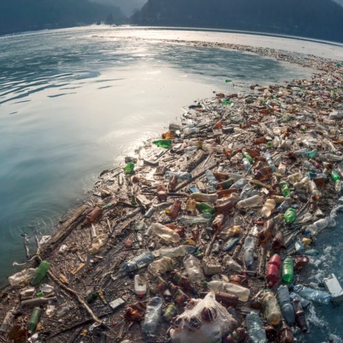 <h1> Ocean plastic pollution to quadruple by 2050, pushing more areas to exceed ecologically dangerous threshold of microplastic concentration</h1>
<p style="text-align: right;"><a href="https://support.wwf.org.ph/resource-center/story-archives-2022/ocean-plastic-pollution-to-quadruple-by-2050-pushing-more-areas-to-exceed-ecologically-dangerous-threshold-of-microplastic-concentration/" target="_blank" rel="noopener noreferrer">Read More &gt;</a></p>