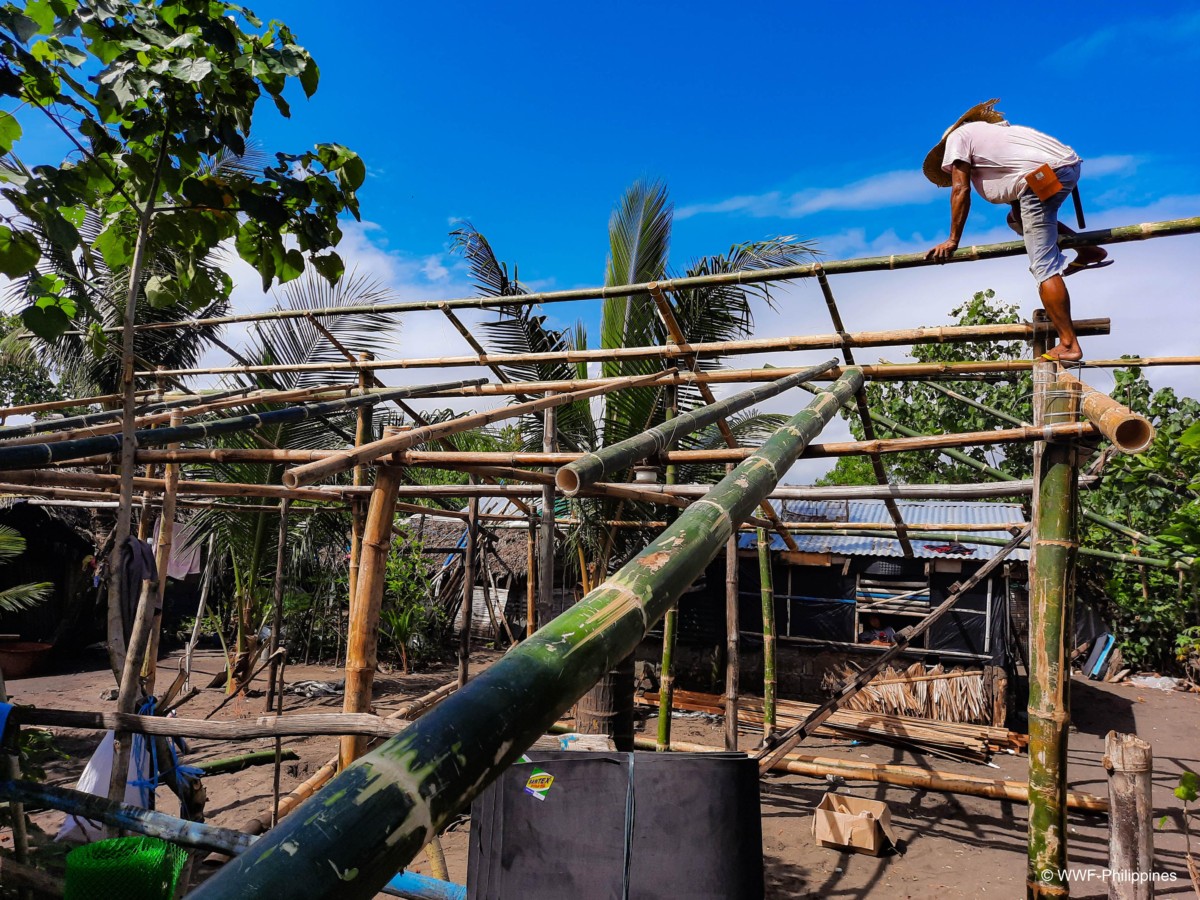 Tiwi Lagonoy Food Sheds 2022 - WWF-Philippines 1