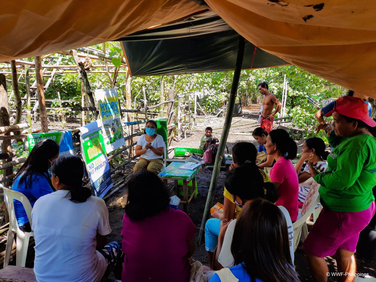 Tiwi Lagonoy Food Sheds 2022 - WWF-Philippines 2