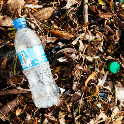 <h1> WWF Continues Its Work on Extended Producer Responsibility (EPR) with UNEP Sea Circular </h1>
<p style="text-align: right;"><a href="https://support.wwf.org.ph/what-we-do/plastics/unep-epr-project-article/" target="_blank" rel="noopener noreferrer">Read More &gt;</a></p>