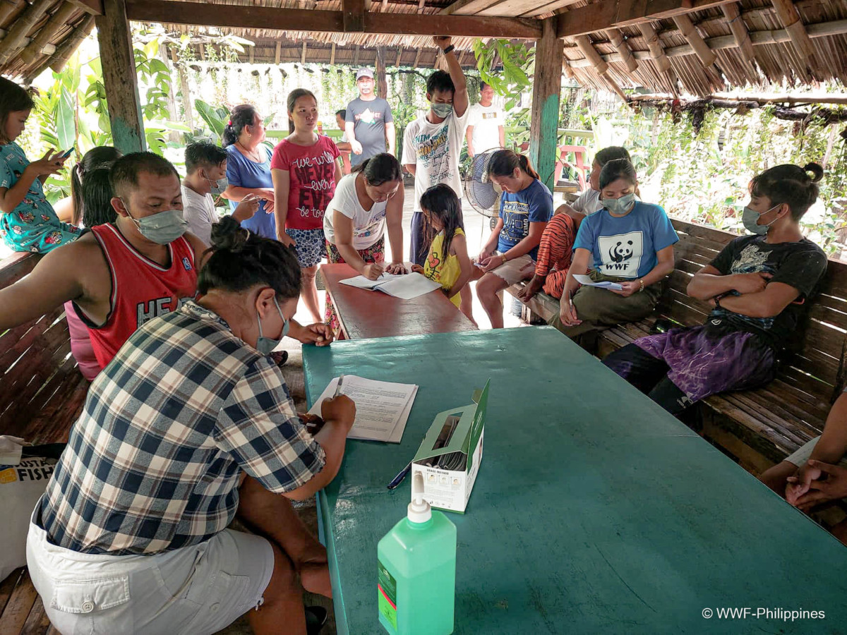 Mindoro Fisher Registration and Licensing Study Pretest - WWF-Philippines_-2