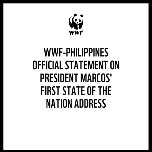 <h1>WWF-Philippines official statement on President Marcos' first State of the Nation Address</h1>
<p style="text-align: right;"><a href="https://support.wwf.org.ph/resource-center/story-archives-2022/wwf-philippines-official-statement-on-president-marcos-first-state-of-the-nation-address/">Read More &gt;</a></p>