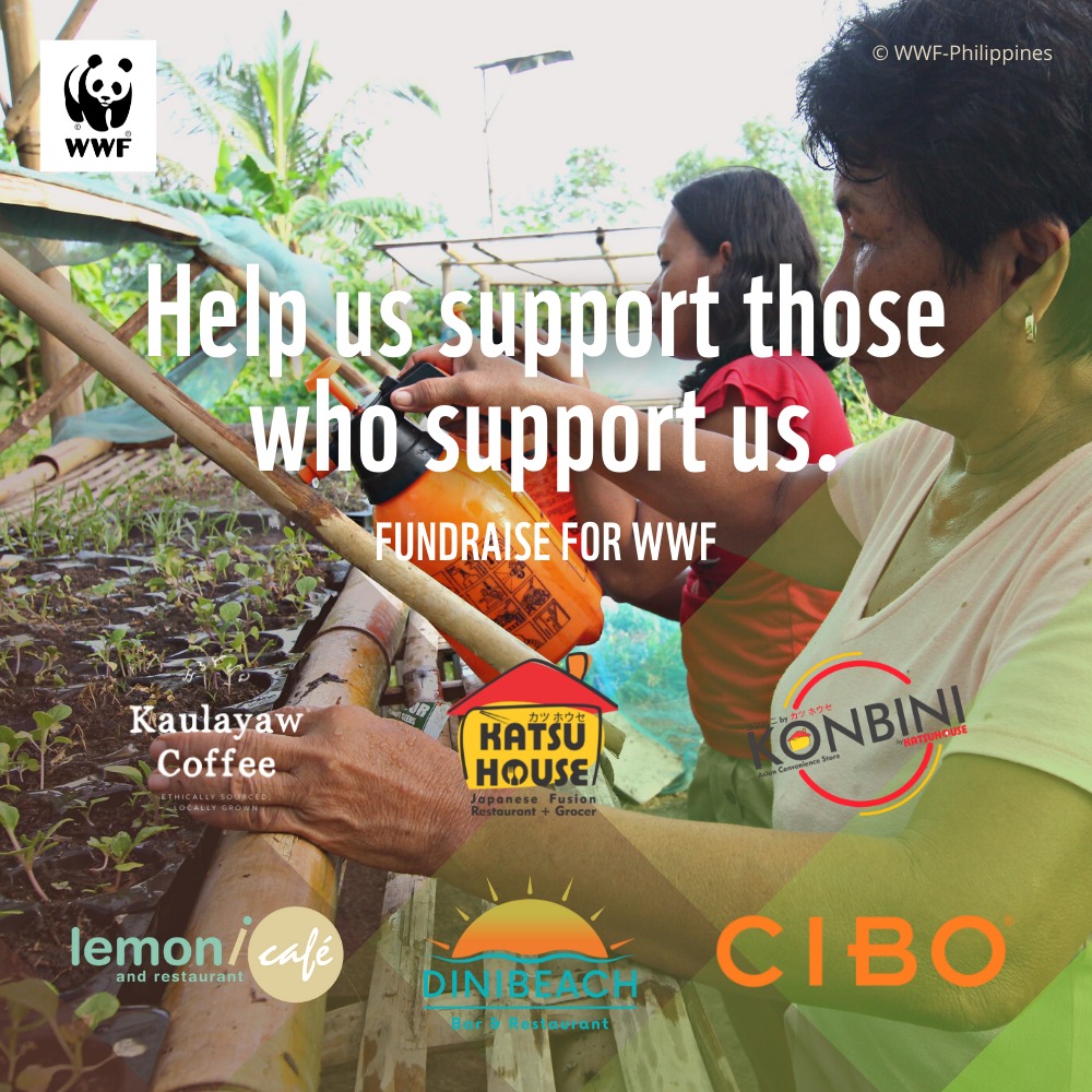 WWF-Philippines works with chefs, gamers for Philippine Environment Month