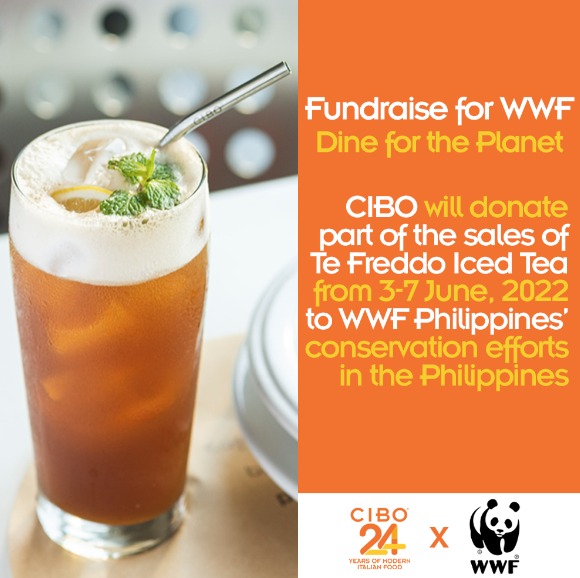 <h1>Cibo Metro Manila</h1>
<p>CIBO, one of the partners for Dine for the Planet!, was able to raise PHP 75,015 by giving part of its iconic Te Freddo Iced Tea. </p>
<p style="text-align: right;"><a href="https://support.wwf.org.ph/cibo-metro-manila/" target="_blank" rel="noopener noreferrer">Read More &gt;</a></p>