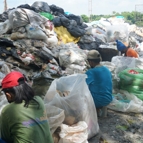 <h1>Trace Your Share: San Jose Sico Landfill cooperative</h1>
<p style="text-align: right;"><a href="https://support.wwf.org.ph/resource-center/story-archives-2022/trace-your-share-san-jose-sico-landfill-cooperative/" target="_blank" rel="noopener noreferrer">Read More &gt;</a></p>