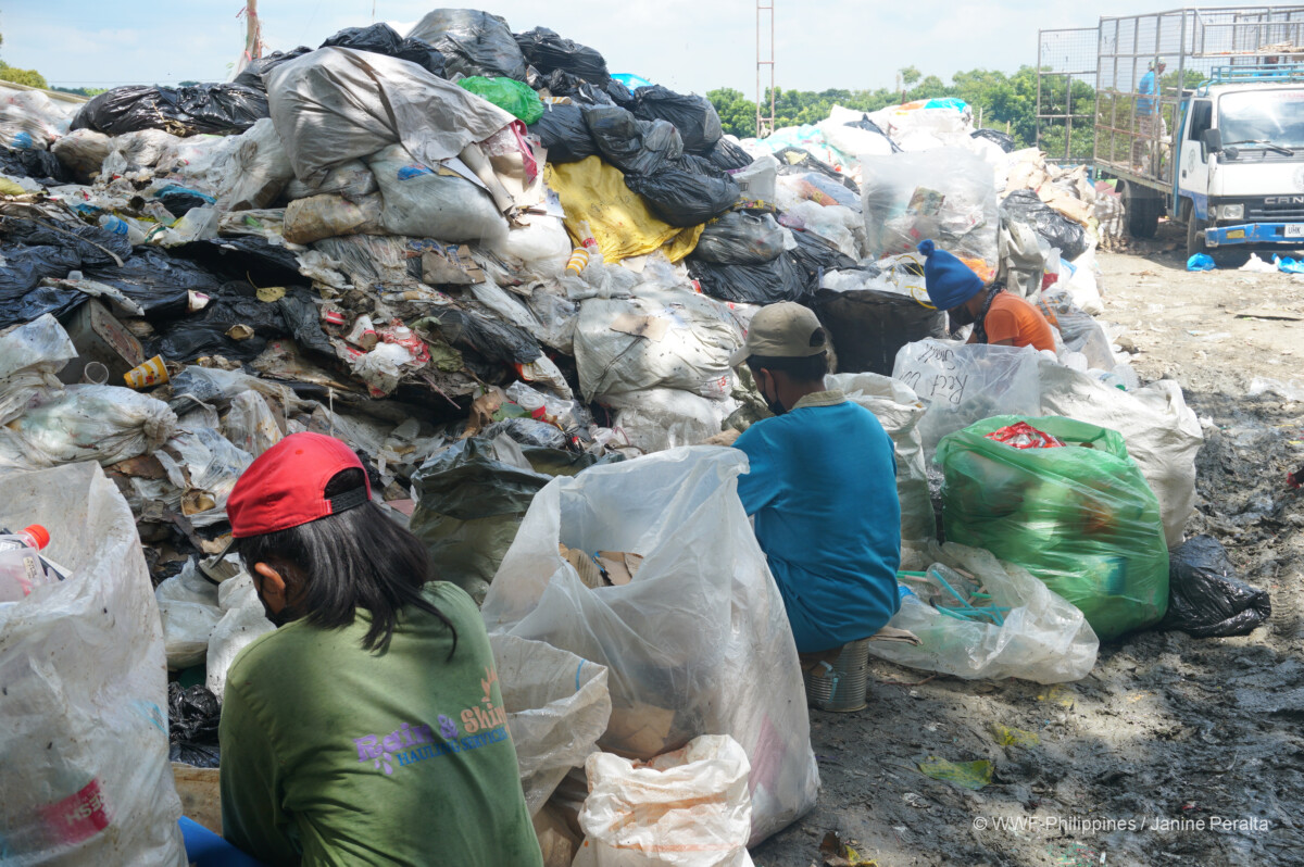 <h1>Trace Your Share: San Jose Sico Landfill cooperative</h1>
<p style="text-align: right;"><a href="https://support.wwf.org.ph/resource-center/story-archives-2022/trace-your-share-san-jose-sico-landfill-cooperative/" target="_blank" rel="noopener noreferrer">Read More &gt;</a></p>