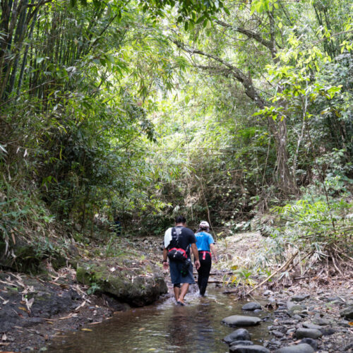 The image shows two staff members of WWF-Philippines filing in a line as they climb out of a creek in the forest.