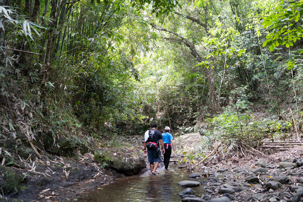 The image shows two staff members of WWF-Philippines filing in a line as they climb out of a creek in the forest.