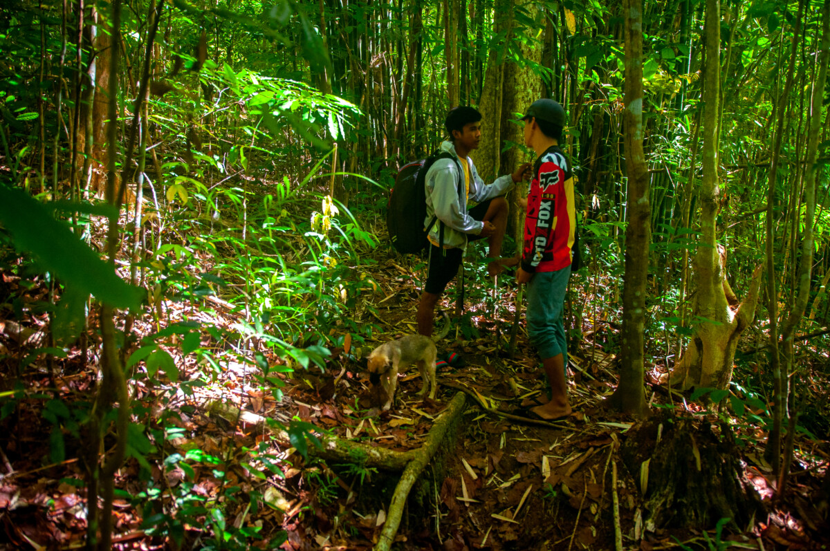 Forest rangers or bantay gubat, in Filipino, patrol the forests with their dog. Photo: © WWF-Philippines