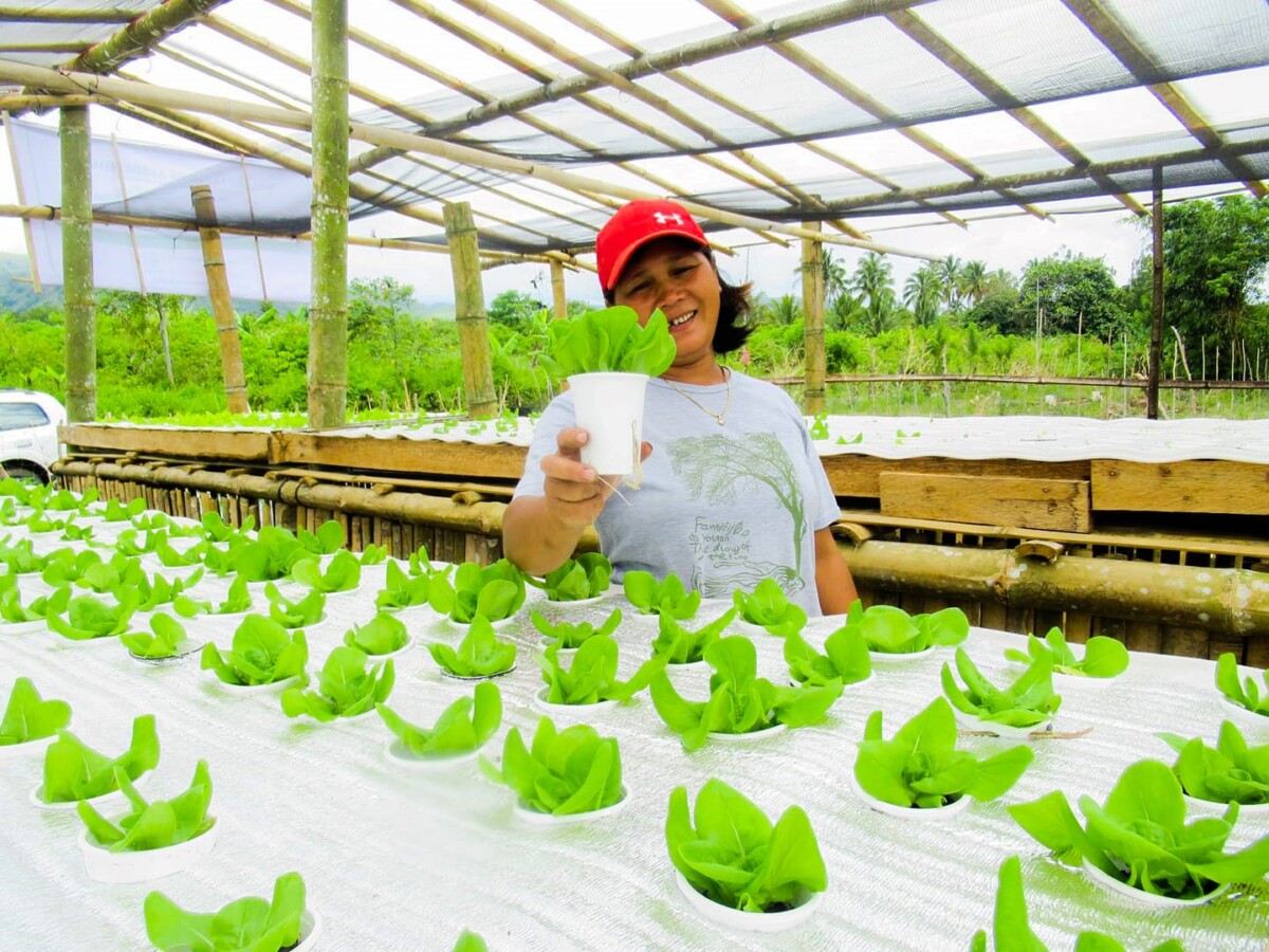 <h1>WWF-Philippines, BPI Foundation provide climate risk assessments and livelihood programs for vulnerable communities through years of collaboration
</h1>
<p style="text-align: right;"><a href="https://support.wwf.org.ph/resource-center/story-archives-2023/wwf-philippines-bpi-foundation-provide-climate-risk-assessments-and-livelihood-programs-for-vulnerable-communities-through-years-of-collaboration/">Read More &gt;</a></p>