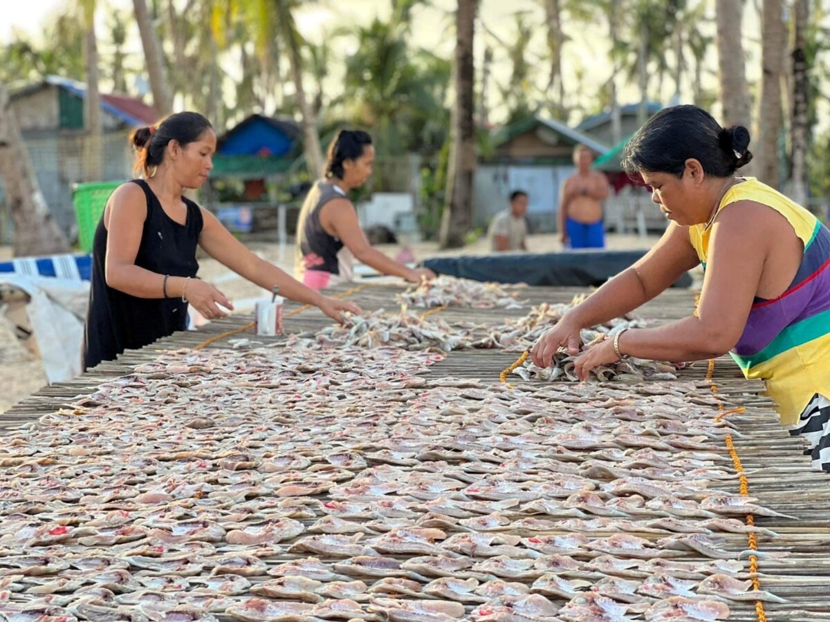 WWF-Philippines, BPI Foundation provide climate risk assessments and livelihood programs for vulnerable communities through years of collaboration 3