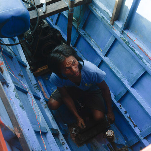 <h1>New study to encourage fishers to register boats, renew licenses</h1><p>hroughout February the World Wide Fund for Nature Philippines (WWF-Philippines) conducted a study</p>
<p style="text-align: right;"><a href="https://support.wwf.org.ph/resource-center/story-archives-2022/stp-2-cost-benefit-analysis/">Read More &gt;</a></p>