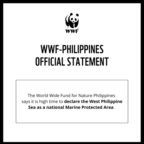 <h1>The World Wide Fund for Nature Philippines says it is high time to declare the West Philippine Sea as a national Marine Protected Area</h1>
<p style="text-align: right;"><a href="https://support.wwf.org.ph/resource-center/story-archives-2023/the-world-wide-fund-for-nature-philippines-says-it-is-high-time-to-declare-the-west-philippine-sea-as-a-national-marine-protected-area/">Read More &gt;</a></p>