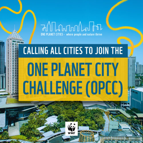 <h1>WWF’s longest running competition for sustainable cities opens for 2023</h1>
<p style="text-align: right;"><a href="https://support.wwf.org.ph/what-we-do/food/projectbuhay/wwfs-longest-running-competition-for-sustainable-cities-opens-for-2023/">Read More &gt;</a></p>