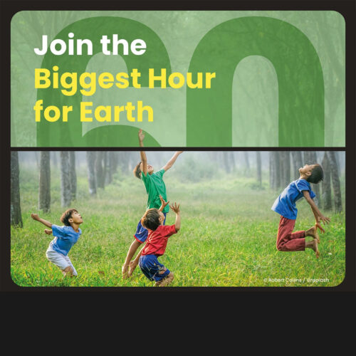 <h1>WWF-Philippines Calls For Filipinos To Join Earth Hour 2023: The Biggest Hour For Earth</h1>
<p style="text-align: right;"><a href="https://support.wwf.org.ph/resource-center/story-archives-2023/wwf-philippines-calls-for-filipinos-to-join-earth-hour-2023-the-biggest-hour-for-earth/">Read More &gt;</a></p>