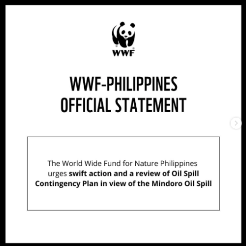 <h1>WWF-Philippines urges swift action and a review of Oil Spill Contingency Plan in view of the Mindoro Oil Spill</h1>
<p style="text-align: right;"><a href="https://support.wwf.org.ph/resource-center/story-archives-2023/wwf-philippines-urges-swift-action-and-a-review-of-oil-spill-contingency-plan-in-view-of-the-mindoro-oil-spill/">Read More &gt;</a></p>