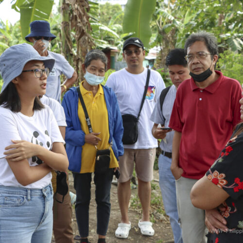 <h1>Uniting Against Plastic: Community Action in the Philippines</h1></p>
<p style="text-align: right;"><a href="https://support.wwf.org.ph/resource-center/story-archives-2023/uniting-against-plastic-community-action-in-the-philippines/">Read More &gt;</a></p>