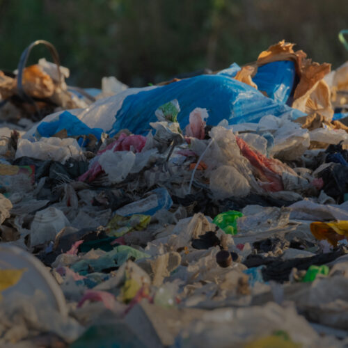 <h1>WWF calls for a global ban on ‘harmful and unnecessary’ single-use plastic items, such as vapes, cutlery and cosmetic microplastics, ahead of key UN plastic pollution treaty talks</h1></p>
<p style="text-align: right;"><a href="https://support.wwf.org.ph/resource-center/story-archives-2023/wwf-calls-for-a-global-ban-on-harmful-and-unnecessary-single-use-plastic-items-such-as-vapes-cutlery-and-cosmetic-microplastics-ahead-of-key-un-plastic-pollution-treaty-talks/">Read More &gt;</a></p>