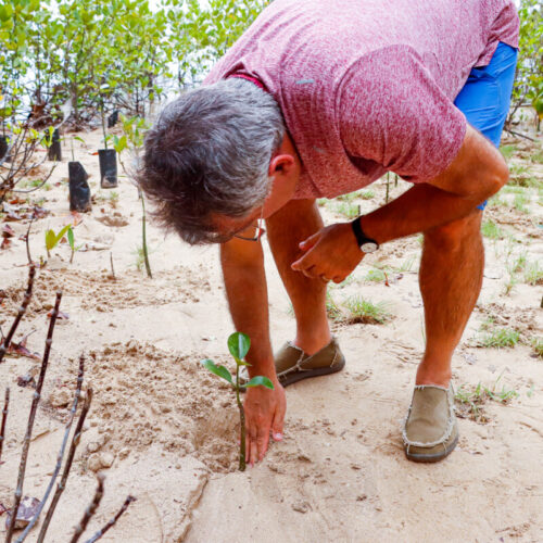 <h1>World Wide Fund for Nature Leaders Come Together in Palawan, Philippines to Accelerate Conservation Impact</h1></p>
<p style="text-align: right;"><a href="https://support.wwf.org.ph/resource-center/story-archives-2023/world-wide-fund-for-nature-leaders-come-together-in-palawan-philippines-to-accelerate-conservation-impact/">Read More &gt;</a></p>