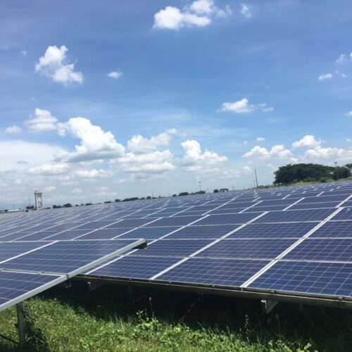 <h1>Growth of renewable energy hampered by long permitting process, lack of promotions and incentives: WWF-Philippines report
</h1></p>
<p style="text-align: right;"><a href="https://support.wwf.org.ph/resource-center/story-archives-2023/growth-of-renewable-energy-hampered-by-long-permitting-process-lack-of-promotions-and-incentives-wwf-philippines-report/">Read More &gt;</a></p>