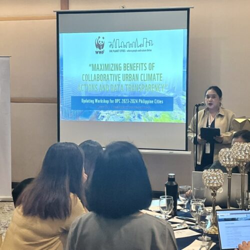 <h1>15 Philippine cities strengthen their journey for urban climate action in WWF’s One Planet City Challenge 2023-2024</h1></p>
<p style="text-align: right;"><a href="https://support.wwf.org.ph/resource-center/story-archives-2023/15-philippine-cities-strengthen-their-journey-for-urban-climate-action-in-wwfs-one-planet-city-challenge-2023-2024/">Read More &gt;</a></p>