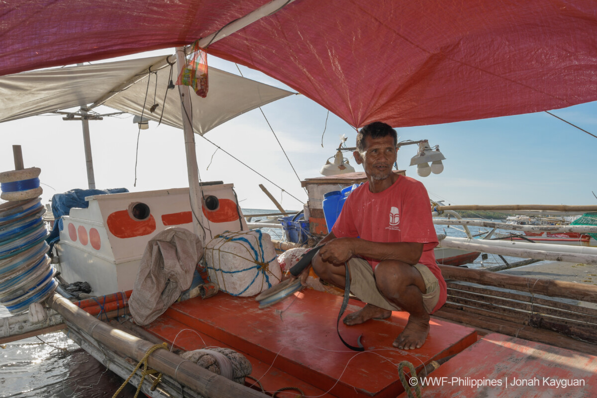 Square 2 (Landscape)