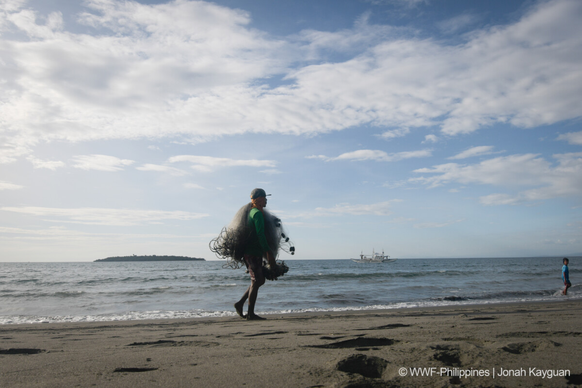 Square 4 (Landscape)