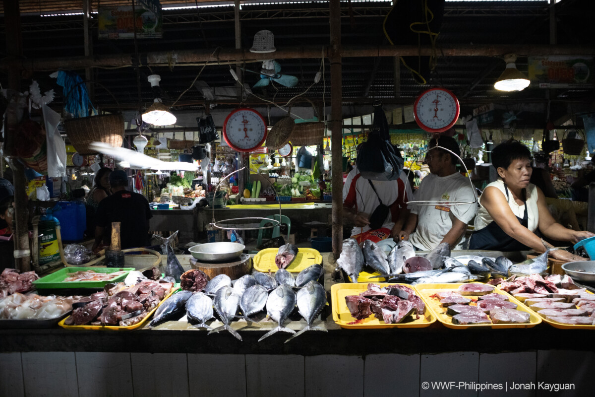 Square 7 (Landscape)