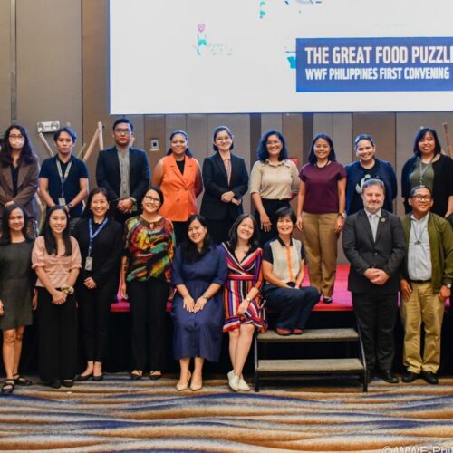 <h1>WWF-Philippines holds first convening for Great Food Puzzle 2.0 (GFP 2.0) study
</h1></p>
<p style="text-align: right;"><a href="https://support.wwf.org.ph/resource-center/story-archives-2023/wwf-philippines-holds-first-convening-for-great-food-puzzle-2-0-gfp-2-0-study/">Read More &gt;</a></p>