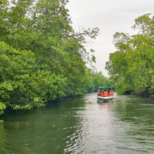 <h1>WWF-Philippines, together with Epson, celebrates World Mangroves Day in Bataraza, Palawan</h1></p>
<p style="text-align: right;"><a href="https://support.wwf.org.ph/resource-center/story-archives-2023/wwf-philippines-together-with-epson-celebrates-world-mangroves-day-in-bataraza-palawan/">Read More &gt;</a></p>