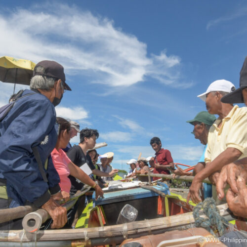 <h1>WWF-Philippines Holds Food Safety Trainings to Combat Tuna Post-Harvest Loss</h1></p>
<p style="text-align: right;"><a href="https://support.wwf.org.ph/sustainabletuna/story/wwf-philippines-holds-food-safety-trainings-to-combat-tuna-post-harvest-loss/">Read More &gt;</a></p>