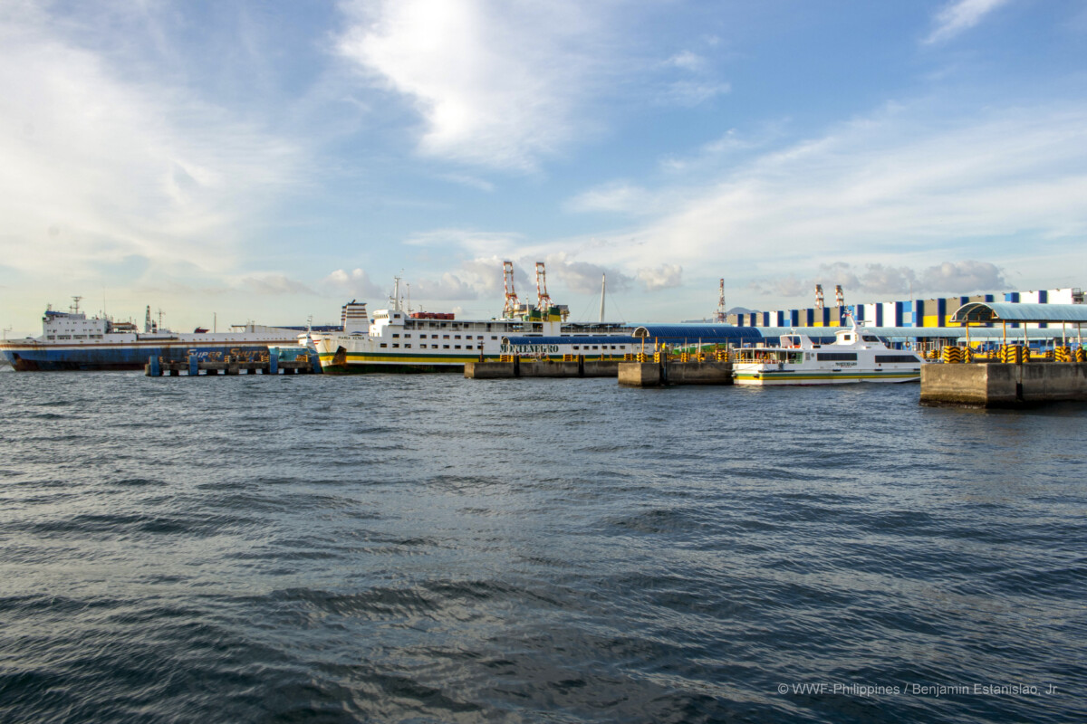 <h1>From research to action: How the Port of Batangas in the Philippines walks the talk to tackle plastic pollution</h1>
<p style="text-align: right;"><a href="https://support.wwf.org.ph/resource-center/story-archives-2023/from-research-to-action-how-the-port-of-batangas-in-the-philippines-walks-the-talk-to-tackle-plastic-pollution/">Read More &gt;</a></p>