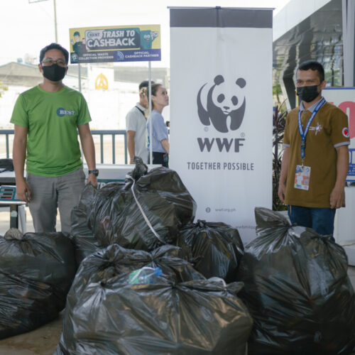 <h1>Recycling for Change</h1>
<p style="text-align: right;"><a href="https://support.wwf.org.ph/resource-center/story-archives-2023/recycling-for-change/">Read More &gt;</a></p>