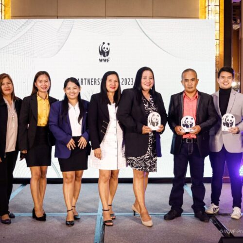 <h1>WWF-Philippines recognizes individuals, project partners in annual Partners’ Night 2023</h1>
<p style="text-align: right;"><a href="https://support.wwf.org.ph/resource-center/story-archives-2023/wwf-philippines-recognizes-individuals-project-partners-in-annual-partners-night-2023/">Read More &gt;</a></p>