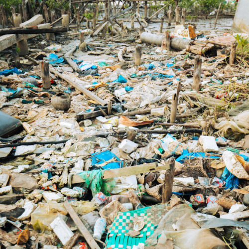 <h1>Lifetime cost of plastic 10 times higher for low-income countries than rich ones, revealing crippling inequities in plastics value chain</h1>
<p style="text-align: right;"><a href="https://support.wwf.org.ph/resource-center/story-archives-2023/lifetime-cost-of-plastic-10-times-higher-for-low-income-countries-than-rich-ones-revealing-crippling-inequities-in-plastics-value-chain/">Read More &gt;</a></p>