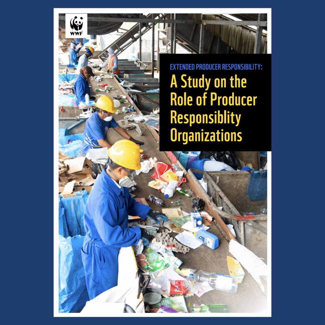 <a target="_blank" href="https://support.wwf.org.ph/wp-content/uploads/2024/02/EPR-A-Study-on-the-Role-of-Producer-Responsibility-Organizations.pdf" rel="noopener noreferrer"><h3>EPR - A Study on the Role of Producer Responsibility Organizations</h3></a>
<p>WWF-Philippines</p>