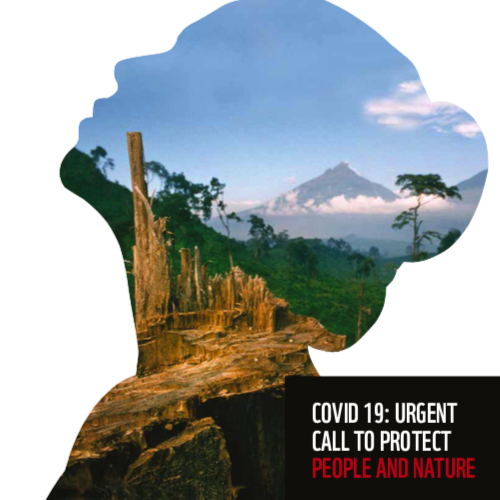 <a target="_blank" href="https://support.wwf.org.ph/wp-content/uploads/2020/07/COVID-19_-URGENT-CALL-TO-PROTECT-PEOPLE-NATURE.pdf" rel="noopener noreferrer"><h3>COVID-19: Urgent Call to Protect People & Nature</h3></a>
<p>WWF-International</p>