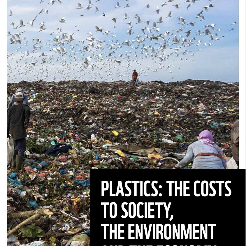 <a target="_blank" href="https://support.wwf.org.ph/wp-content/uploads/2021/09/WWF-PCSEE-Report-English.pdf" rel="noopener noreferrer"><h3>Plastics: The Costs to Society, The Environment, and The Economy</h3></a>
<p>A Report for WWF by Dalberg</p>