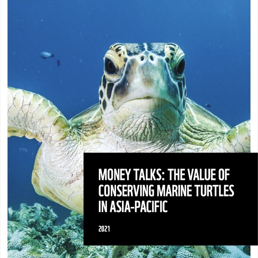 <a target="_blank" href="https://support.wwf.org.ph/wp-content/uploads/2021/09/WWF-Report_Money-Talks_-The-Value-of-Conserving-Marine-Turtles-in-AsiaPacific-Final-Web.pdf" rel="noopener noreferrer"><h3> Money Talks: The Value of Conserving Marine Turtles in Asia-Pacific</h3></a>
<p>Working together to protect the hawksbill turtle</p>