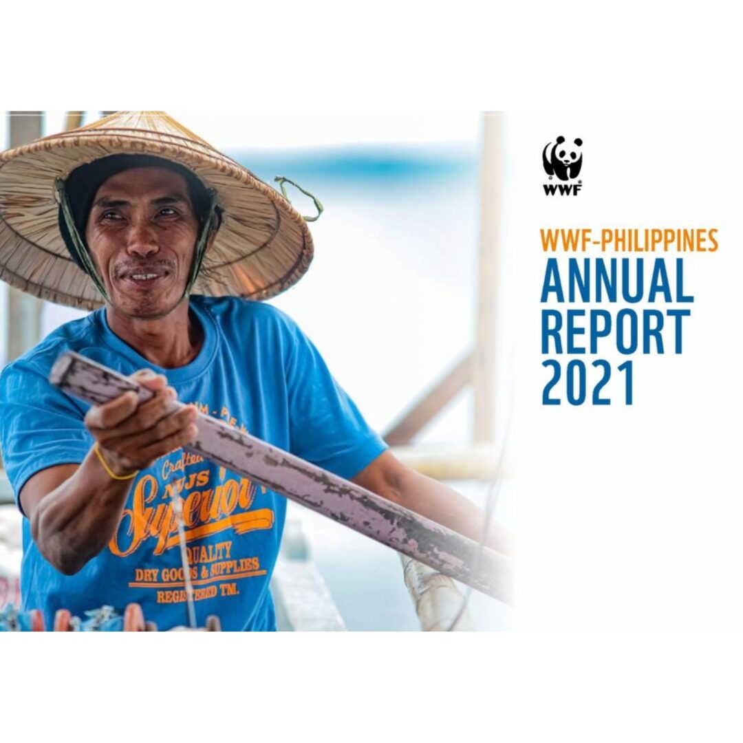 <a target="_blank" href="https://support.wwf.org.ph/wp-content/uploads/2022/01/WWF-Philippines-Annual-Report-2021.pdf" rel="noopener noreferrer"><h3>Annual Report 2021</h3></a>
<p>WWF-Philippines</p>