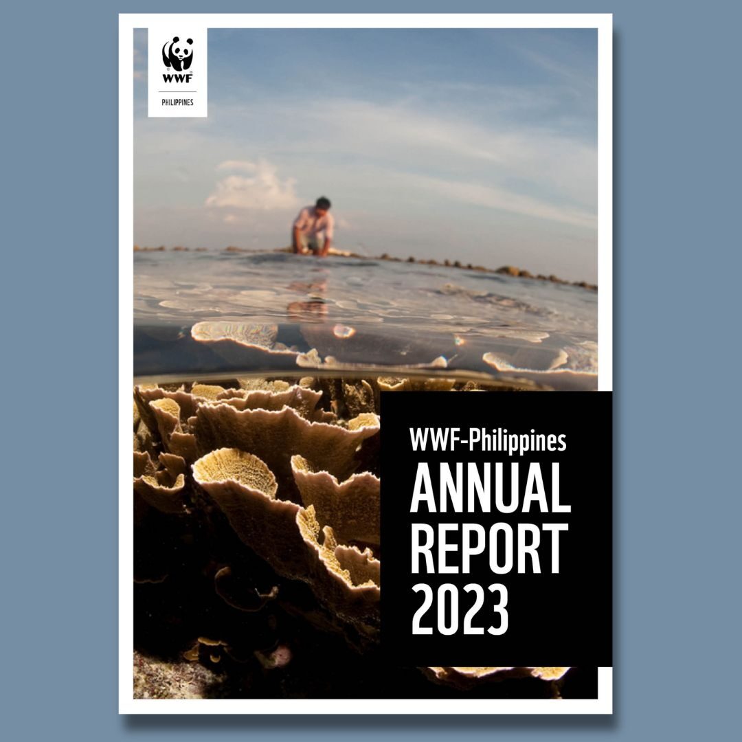 <a target="_blank" href="https://support.wwf.org.ph/wp-content/uploads/2023/12/WWF-Philippines-Annual-Report-2023.pdf" rel="noopener noreferrer"><h3>Annual Report 2023</h3></a>
<p>WWF-Philippines</p>